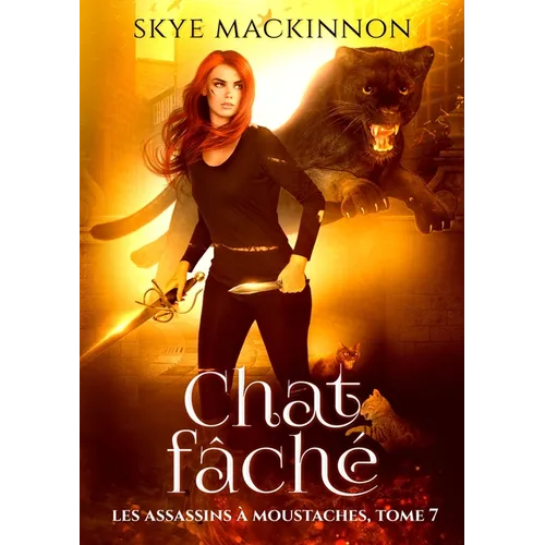Chat fâché
