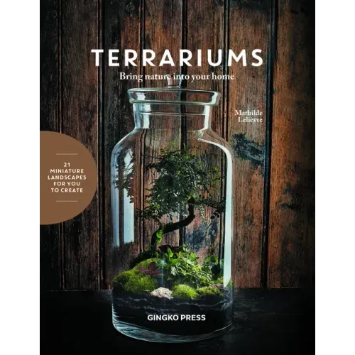 Terrariums: Bring Nature Into Your Home