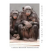 Bonobo Lucy Grows Up