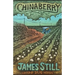 Chinaberry