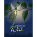 Lumo's Wish