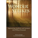 Wonder Strikes: Approaching Aesthetics and Literature with William Desmond