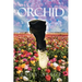 Orchid