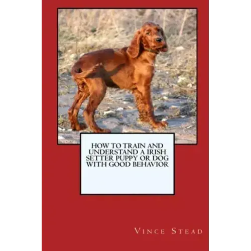 How to Train and Raise a Irish Setter Puppy or Dog with Good Behavior
