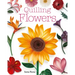 Quilling Flowers