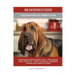 Bloodhounds: A Bloodhound Dog Owner's Guide