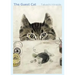 The Guest Cat