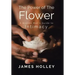 Power of the Flower: A Broken Man's Guide to Intimacy
