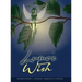Lumo's Wish