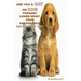 Are You A Cat Person Or A Dog Person?: Learn What Your Preference Says About You