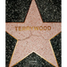 Terry Richardson: Terrywood