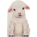 Furry Lamb