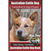Australian Cattle Dog Training Book for Dogs and Puppies by Bone Up Dog Training: Are You Ready to Bone Up? Easy Training * Fast Results Australian Ca