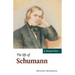 The Life of Schumann