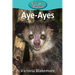 Aye-Ayes