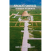 Ancient Chinese Hidden Pyramid