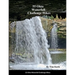 55 Ohio Waterfall Challenge Hikes