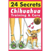 Chihuahua Training & Care: 24 Secrets