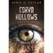 Corvo Hollows: A Psychological Thriller