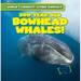 200-Year-Old Bowhead Whales!