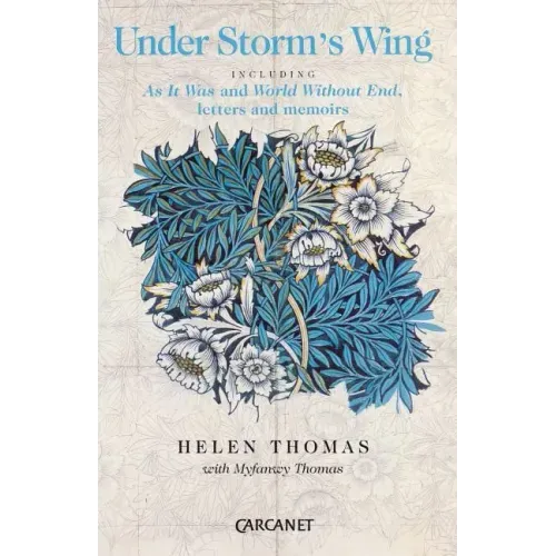Under Storm's Wing