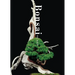 Bonsai: Reprint Edition