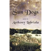 Sun Dogs