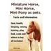 Miniature Horse, Mini Horse, Mini Pony as Pets. Facts and Information. Miniature Horses Care, Health, Keeping, Raising, Training, Play, Food, Costs an