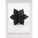 Frank Stella's Stars: A Survey