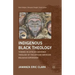Indigenous Black Theology: Toward an African-Centered Theology of the African American Religious Experience