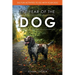 The Year of the Dog: 365 Fun Activities to Do with Your Dog