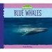 Blue Whales