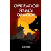 Operation Black Dragon