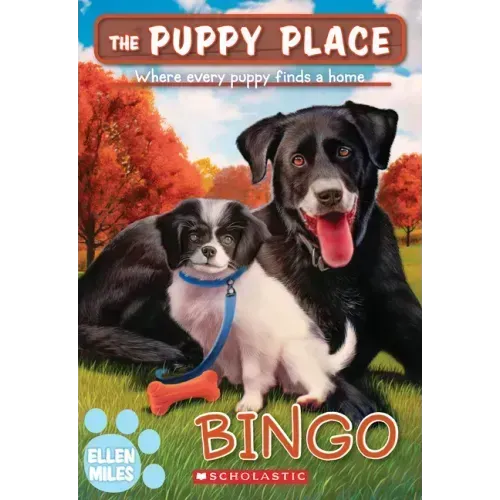 Bingo (the Puppy Place #65)