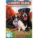 Bingo (the Puppy Place #65)
