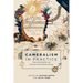 Cameralism in Practice: State Administration and Economy in Early Modern Europe