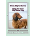 From Shy to Showy: Help for your shy show dog