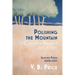 Polishing the Mountain, or Catching Balance Just in Time: Selected Poems 2008-2020