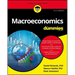 Macroeconomics for Dummies