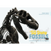 The 50 State Fossils: A Guidebook for Aspiring Paleontologists