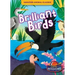 Brilliant Birds