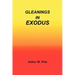 Gleanings in Exodus