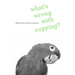 What's Wrong with Copying?