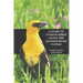 A Guide to Finding Birds Along the Illinois River Flyway