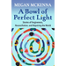A Bowl of Perfect Light: Stories of Forgiveness, Reconciliation and Repairing the World