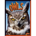Owls