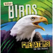 Killer Birds