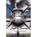 Flight to Destiny: A Conner Pennington Novel