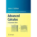 Advanced Calculus: A Geometric View