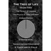 The Tree of Life: The Palace of Crowns and the Palace of Abba and Imma - English Edition